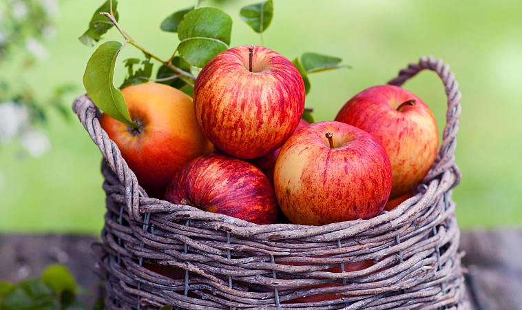 «Формула еды»: все о пользе яблок